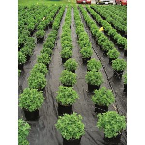 Grostech_GroundCover6